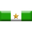 Nastrino d'Oro per Anzianita' di Servizio (U. SU. 40 anni)