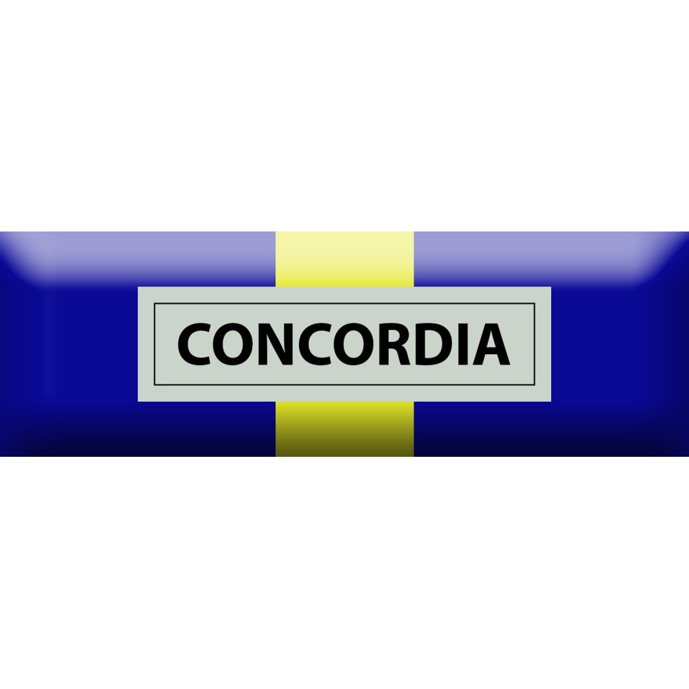 Nastrino Commemorativo EU Missione Concordia - Fyrom
