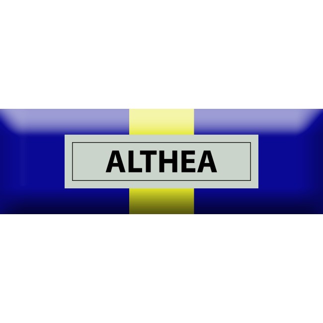 Nastrino Commemorativo EU Missione Althea - Bosnia