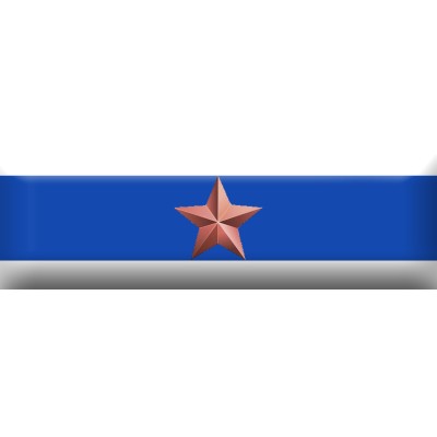 Nastrino Partecipazione a due servizi di O.P. particolarmente rilevanti per Carabinieri