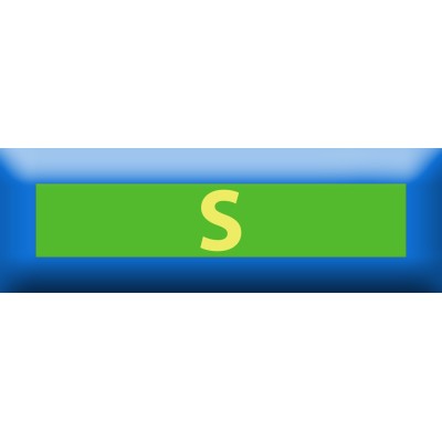 Nastrino Istruttore Militare Scelto di Sci