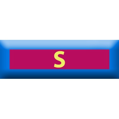 Nastrino Istruttore Scelto Pattugliatore Scelto