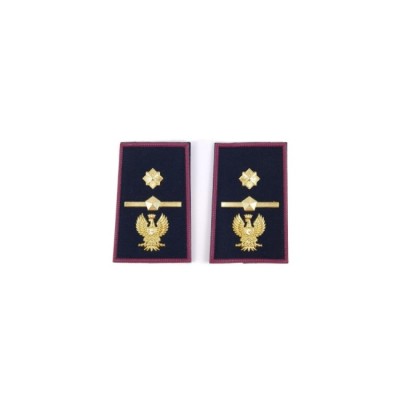 Tubolari Ispettore Superiore Polizia di Stato
