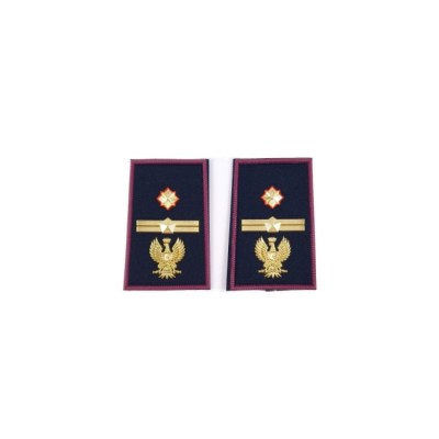 Tubolari Sostituto Commissario Polizia di Stato