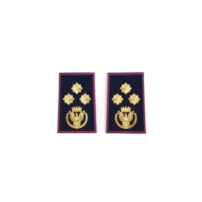 Tubolari Vice Questore Polizia di Stato