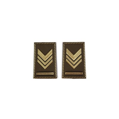 Tubolari Sergente Maggiore Capo Esercito kaki