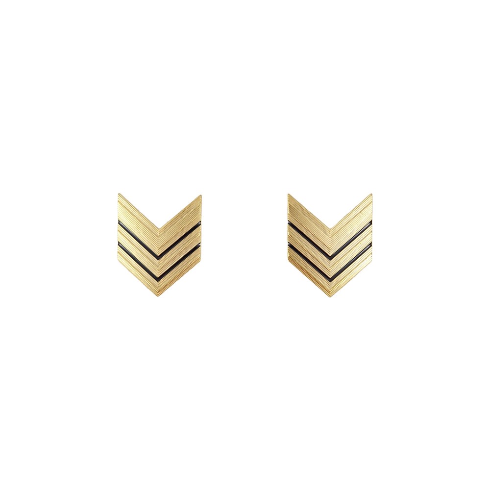 Gradi in metallo Sergente Maggiore Esercito