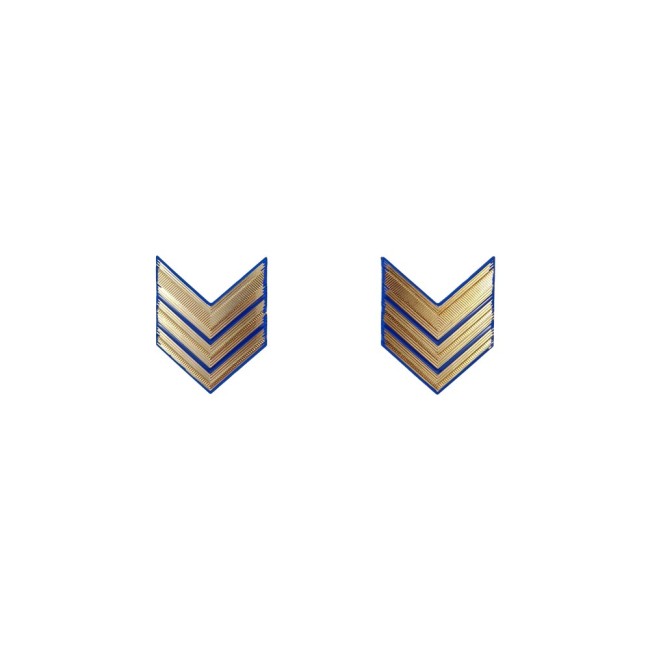 Gradi in metallo Sergente Maggiore Aviotruppe Esercito