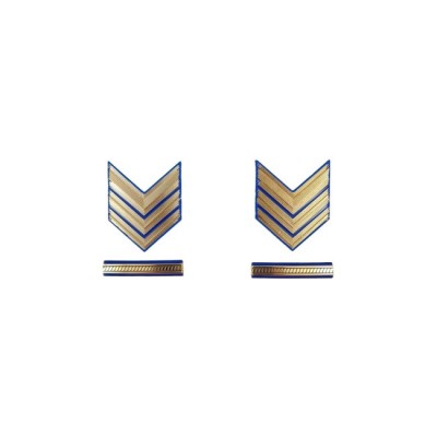 Gradi in metallo Sergente Maggiore Capo Aviotruppe Esercito