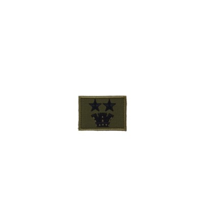 Grado velcro Tenente Colonnello Esercito