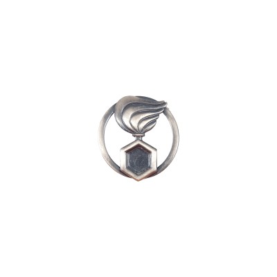 Fregio NBC Esercito basco