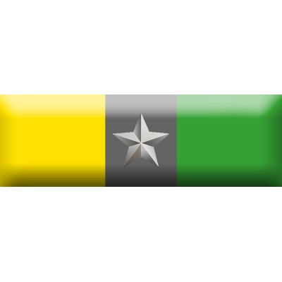 Nastrino Partecipazione Eventi Particolari Guardia di Finanza (da 11 a 15)