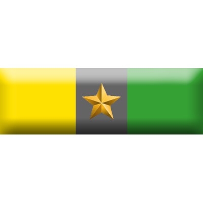 Nastrino Partecipazione Eventi Particolari Guardia di Finanza (oltre 16)