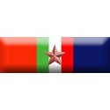 Nastrino Commemorativo Croce Rossa Italiana Operazioni di Soccorso (2 missioni)