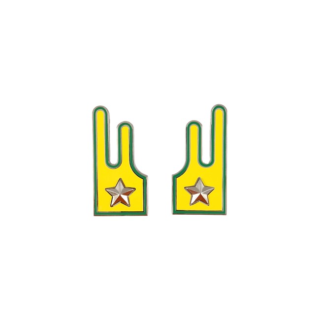 Mostrine giacca Finanza in metallo