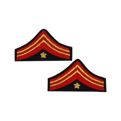 Gradi Gala Graduato Aiutante Esercito