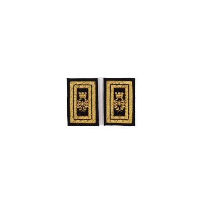 Travette Ufficiale Superiore Corpo degli Ingegneri Esercito gala