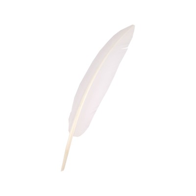 Penna Cappello Alpino...