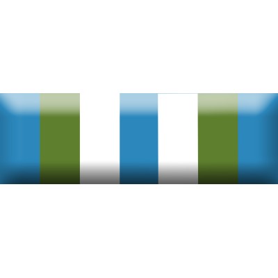 Nastrino Commemorativo UN Haiti