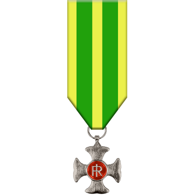 Medaglia d'Argento al Merito di Servizio per la Guardia di Finanza (16 anni)