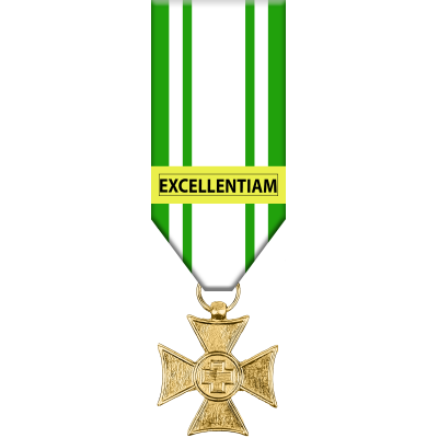 Medaglia Anzianita' di servizio per U./S.U. e Truppa della Croce Rossa Italiana (35 anni)