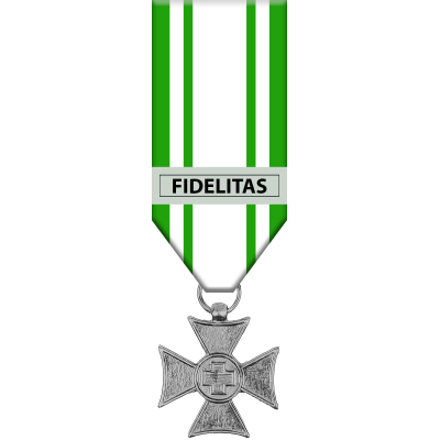 Medaglia Anzianita' di servizio per U./S.U. e Truppa della Croce Rossa Italiana (15 anni)