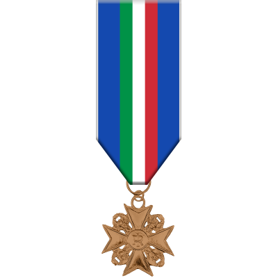 Medaglia d'Anzianità di servizio per la Polizia di Stato (20 anni)