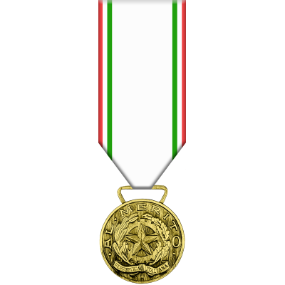 Medaglia d'Oro al Merito della Croce Rossa Italiana