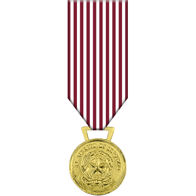 Medaglia al Merito di servizio per la Polizia di Stato (20 anni)