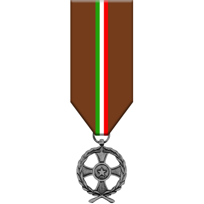 Medaglia Commemorativa Operazioni di Soccorso Umanitario - Iraq