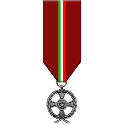 Medaglia Commemorativa Operazioni di Soccorso Umanitario - Albania