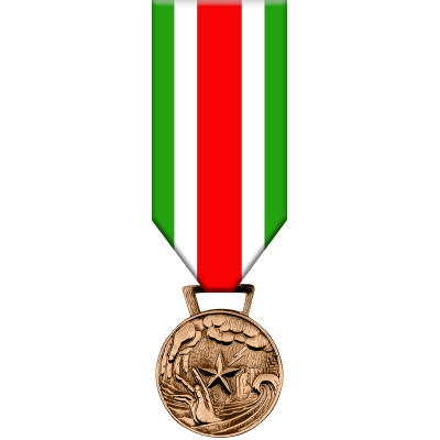 Medaglia Commemorativa Interventi per Pubbliche Calamita'