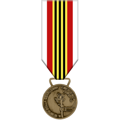 Medaglia Benemerenza il Tempo della Gentilezza CRI