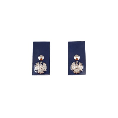 Gradi in metallo Vice Ispettore Polizia Penitenziaria