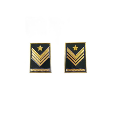 Gradi in metallo Sergente Maggiore Aiutante Aviotruppe Esercito