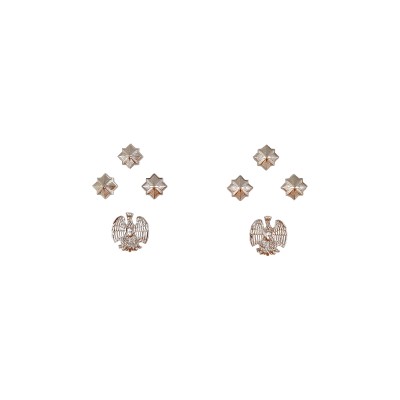 Gradi in metallo Commissario Polizia Penitenziaria