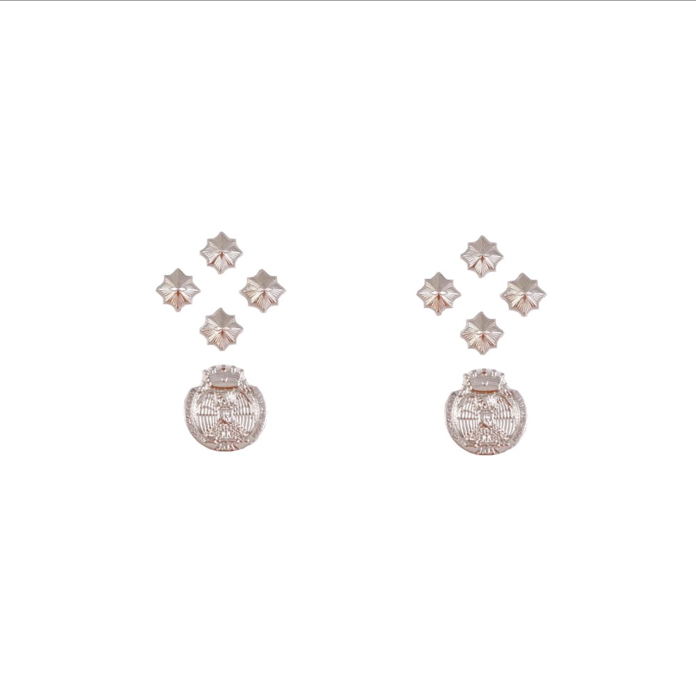 Gradi in metallo Primo Dirigente Polizia Penitenziaria