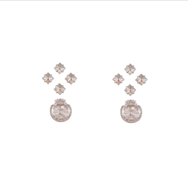 Gradi in metallo Primo Dirigente Polizia Penitenziaria