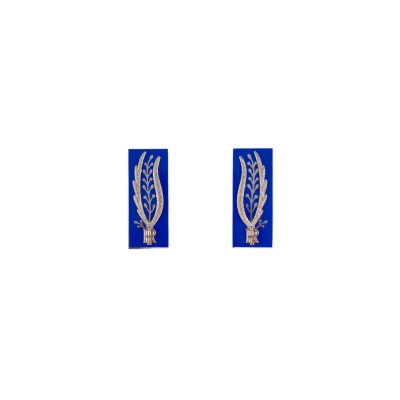 Alamari giacca Polizia Penitenziaria in metallo