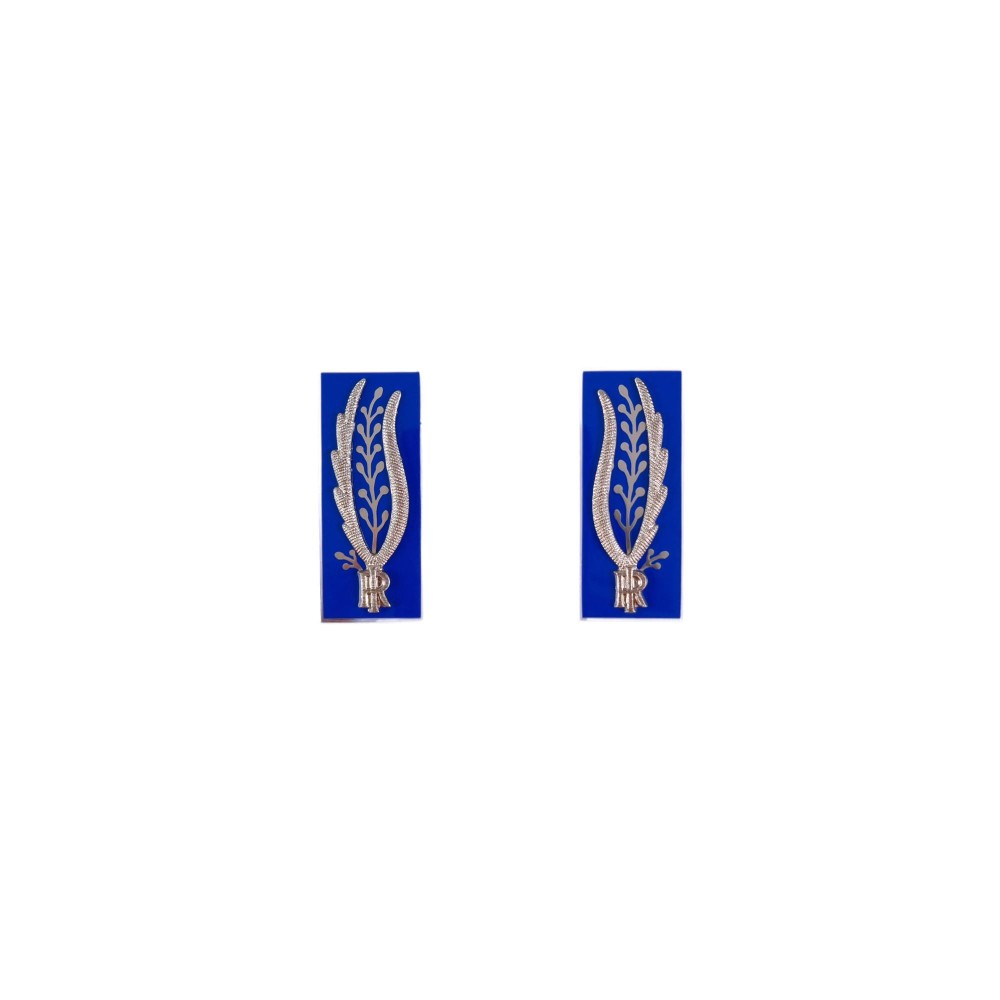 Alamari giacca Polizia Penitenziaria in metallo