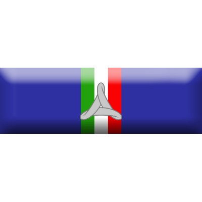 Nastrino d'Argento per attestazione di pubblica benemerenza del Dipartimento della Protezione Civile