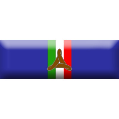 Nastrino di Bronzo per attestazione di pubblica benemerenza del Dipartimento della Protezione Civile
