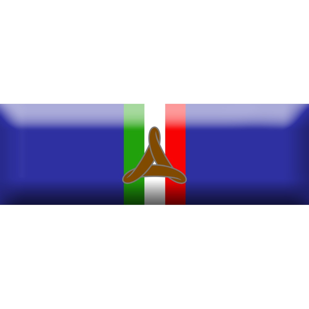 Nastrino di Bronzo per attestazione di pubblica benemerenza del Dipartimento della Protezione Civile