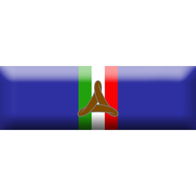 Nastrino di Bronzo per attestazione di pubblica benemerenza del Dipartimento della Protezione Civile